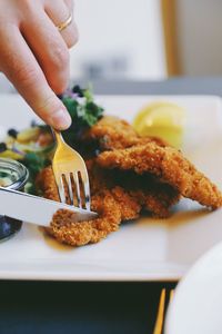 Close-up of hand holding fork and knife cutting a piece of meat in plate