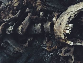 Close-up of old building