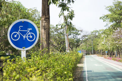 Road sign by trees in city
