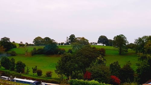 Scenic view of trees on field against clear sky