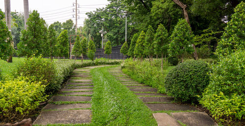 Footpath in garden