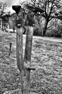 Close-up of wooden post on field