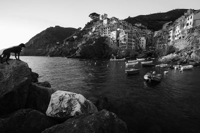 View of boats in sea