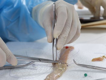 Cropped hand of dentist examining patient in hospital