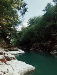 Scenic view of lake in forest against sky