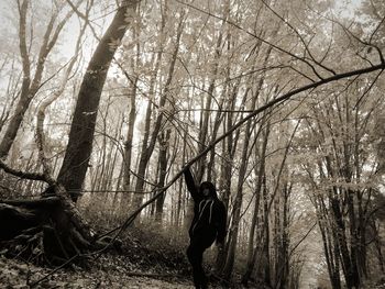 Woman standing by bare trees in forest