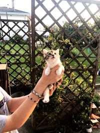 Man holding small dog against plants