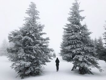 Rear view of person walking on snow covered land