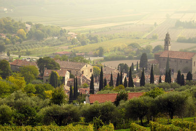 High angle view of houses and trees on landscape