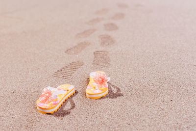 Close-up of shells on sand