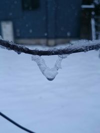 Close-up of snow on water