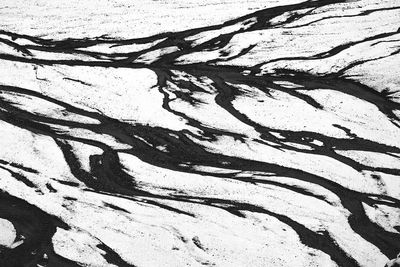 Full frame shot of tree shadow on wall