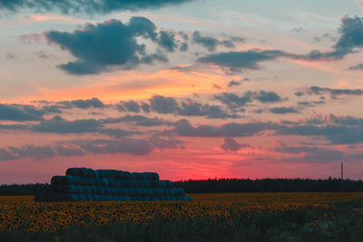 Scenic view of field against sky during sunset