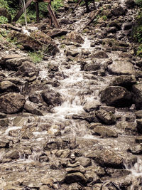 Stream flowing through rocks