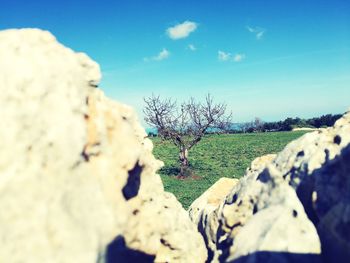 Close-up of landscape against blue sky