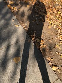 Shadow of person on footpath