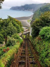 High angle view of railroad tracks amidst plants against sky