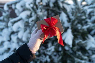 Cropped hand of woman holding plant
