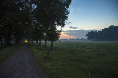 Trees on field against sky at sunset