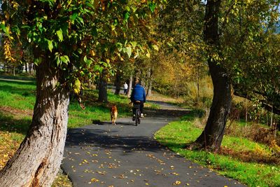 Rear view of man riding bicycle by dog on road