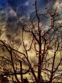 Low angle view of bare trees against cloudy sky