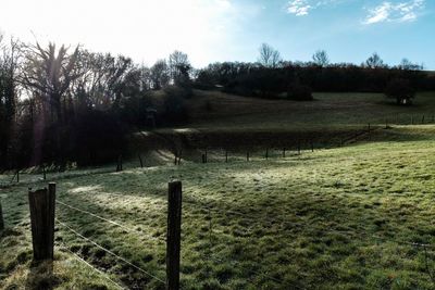 Scenic view of field against sky