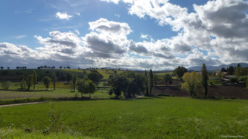 Scenic view of field against sky