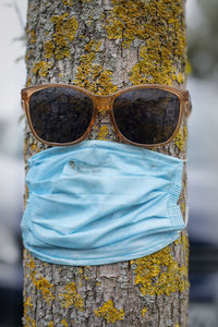 Close-up of sunglasses on tree trunk