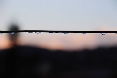 Close-up of wet silhouette against sky during sunset