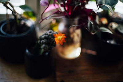 Close-up of flower vase on table