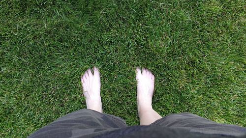 Low section of man on grass