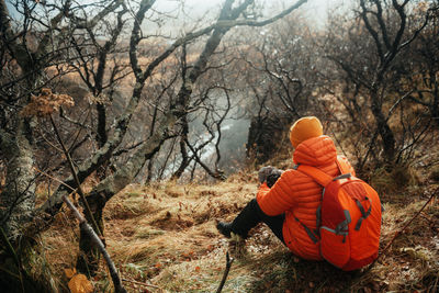 Back view of young tourist with backpack sitting between dry woods on hill looking photos in his camera