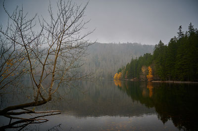 Scenic view of lake by trees against sky