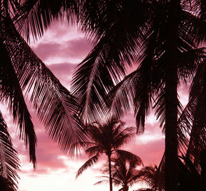 Low angle view of silhouette palm trees against sky during sunset