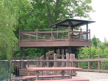 Built structure by trees in forest