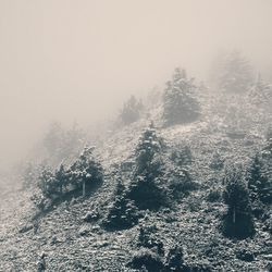 Scenic view of sea during foggy weather