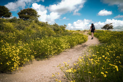 Rear view of woman walking on footpath amidst plants against sky