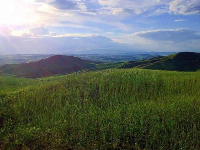 tranquil scene, tranquility, landscape, mountain, scenics, beauty in nature, sky, grass, nature, field, mountain range, sunlight, growth, green color, idyllic, non-urban scene, plant, cloud - sky, cloud, remote