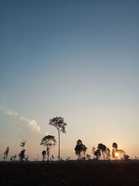 Silhouette trees on field against clear sky during sunset