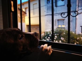 Close-up of hand looking through window