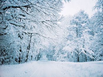 Snow covered field