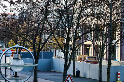 Bare trees by buildings in city