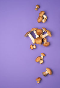 Directly above shot of mushrooms over purple background
