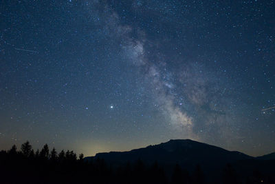 Silhouette trees against star field against sky at night