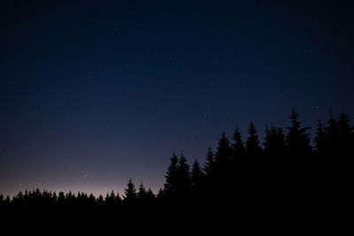 Low angle view of trees against sky at night