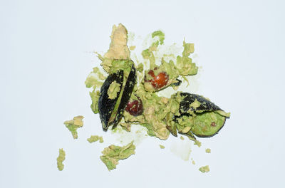 Close-up of vegetables against white background