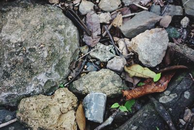 High angle view of stones on rocks