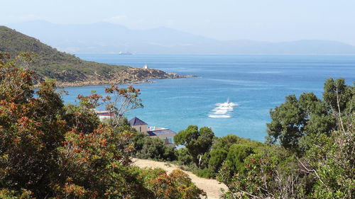 High angle view of sea and trees against sky