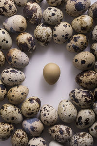 High angle view of eggs arranged on table