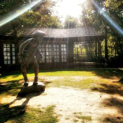 View of elephant in zoo